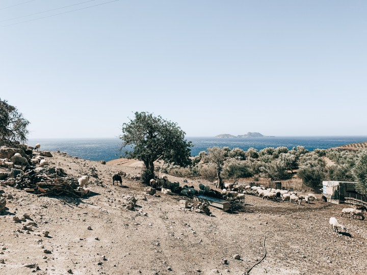 Изкуството да бъдеш щастлив тук и сега – Агия Галини (Крит част&nbsp;II)