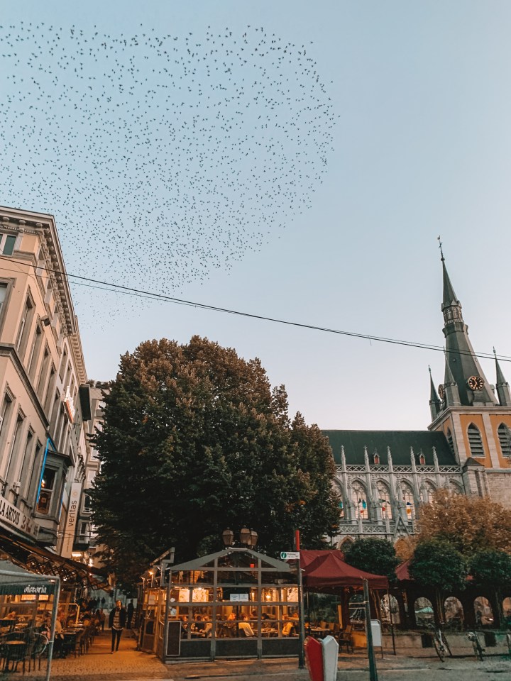 „Пламенният град“