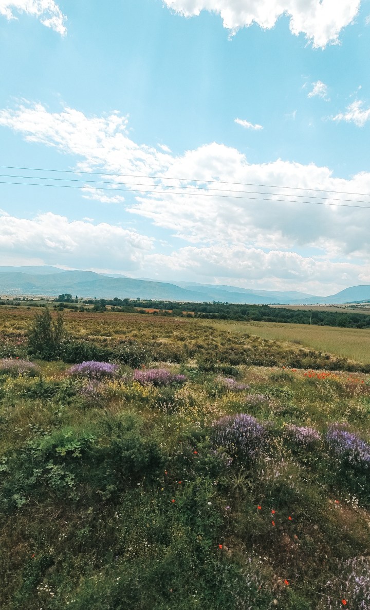 Тамар и България