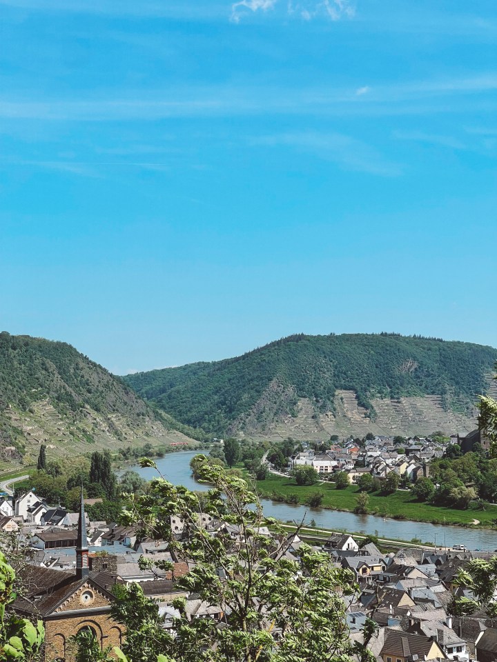 Рейнски Ризлинг