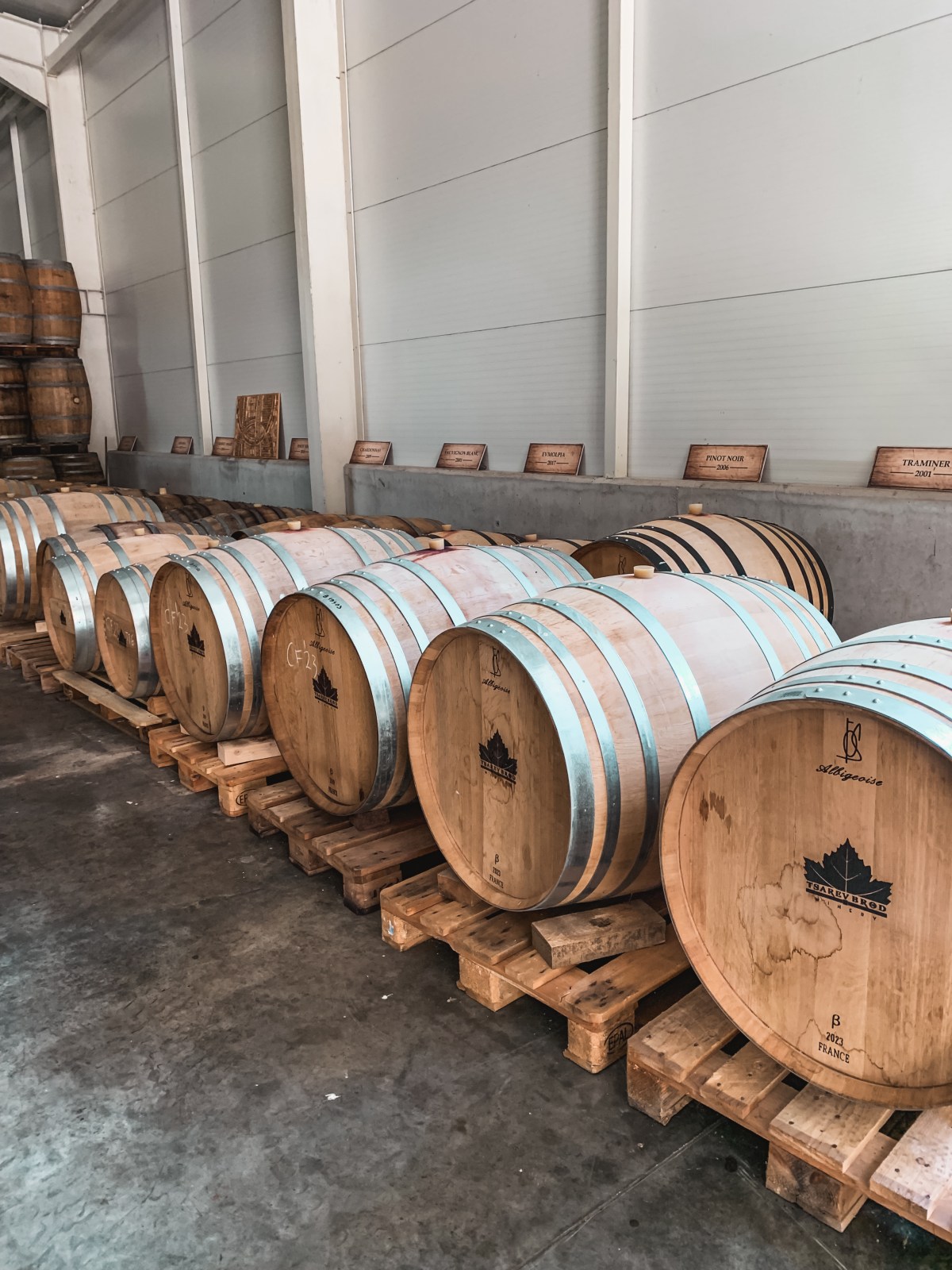 В търсене на (почти) изгубеното българско вино 